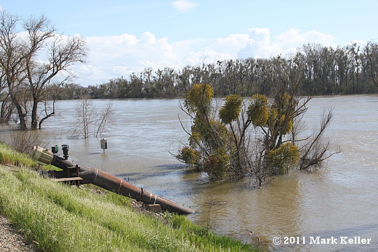 Sacramento River 2011-03-21